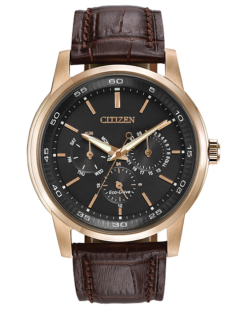 Citizen Eco-Drive Black Dial Brown Leather Men's Quartz Watch - BU2013-08E